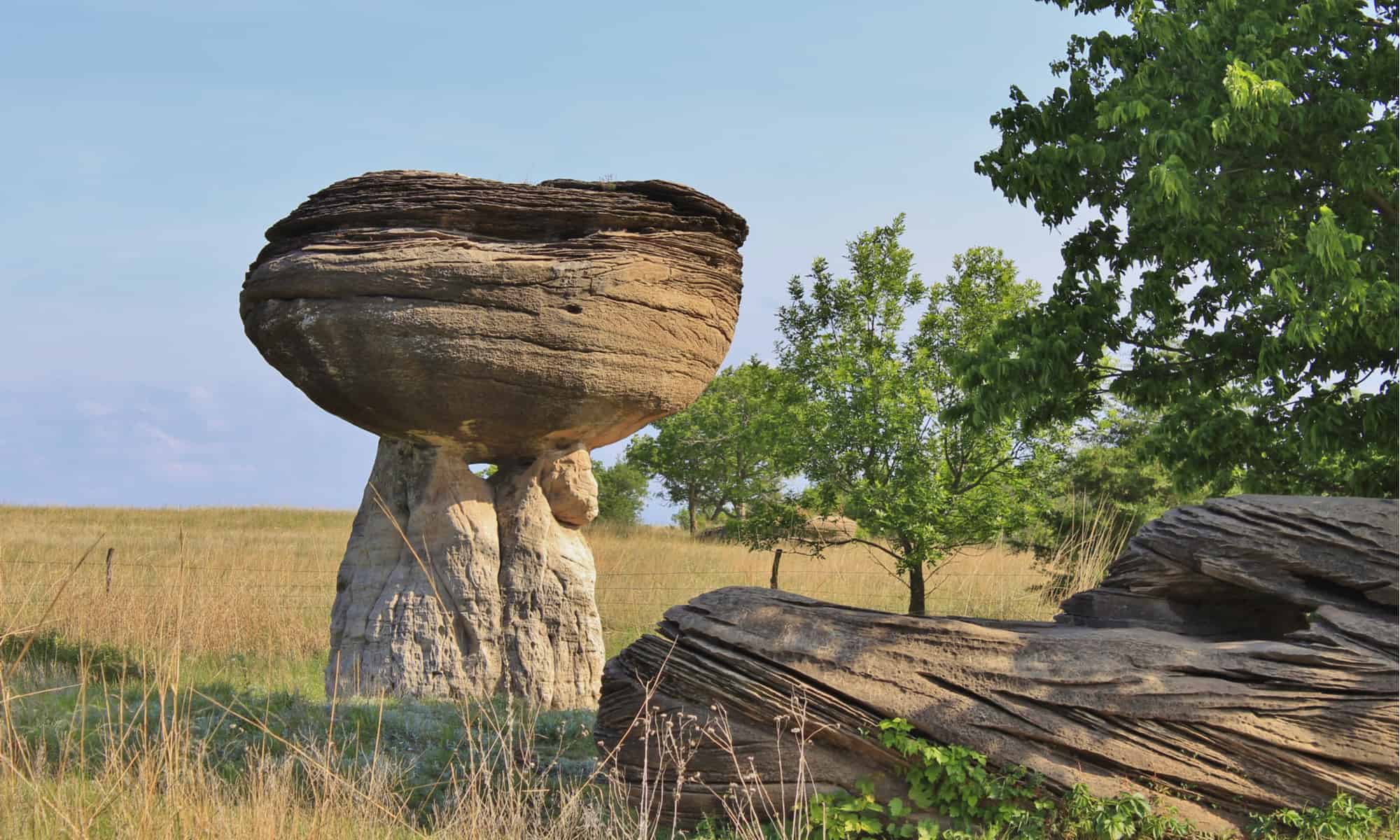 Uncover the ten Greatest Nationwide and State Parks in Kansas
