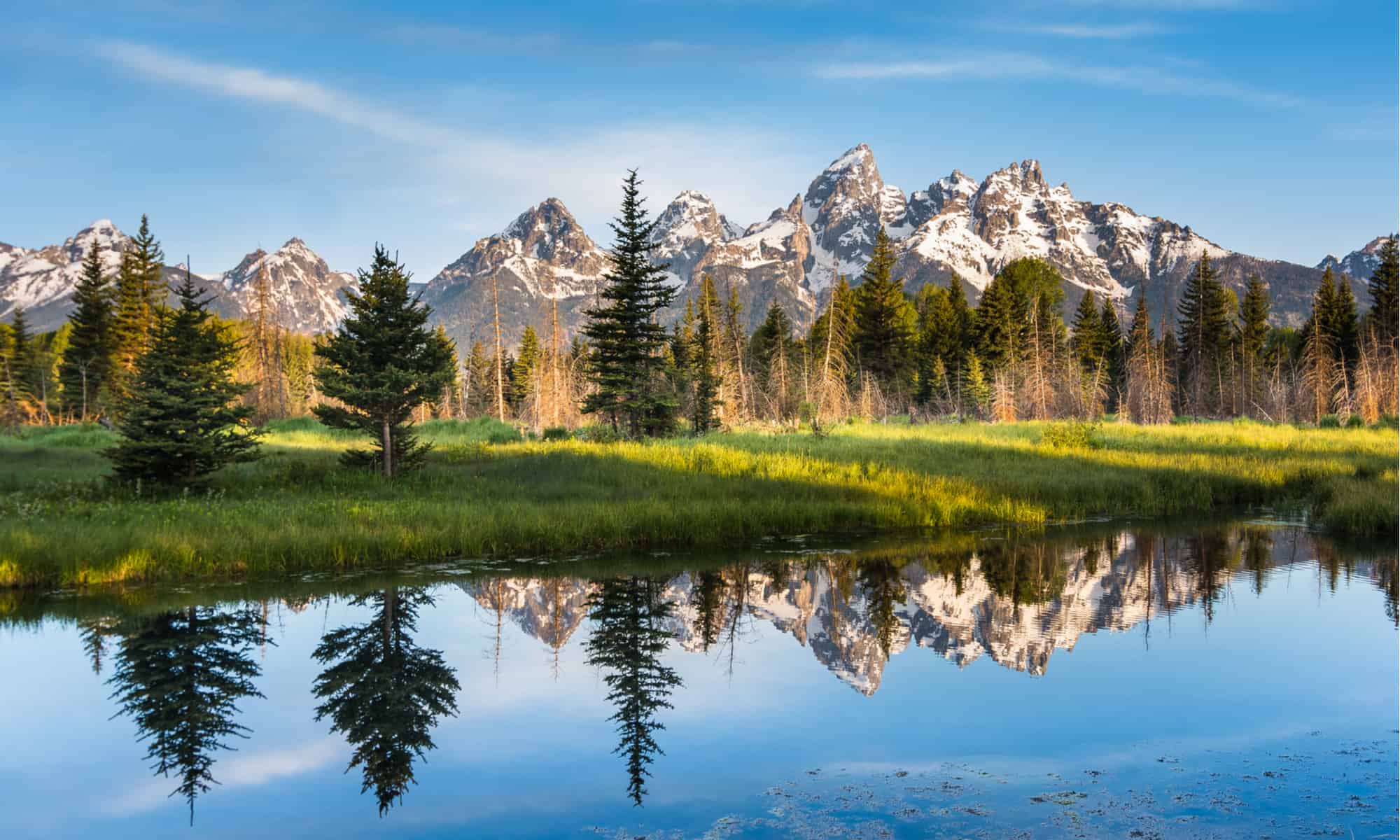 Uncover the ten Greatest Nationwide Parks to Go to in August