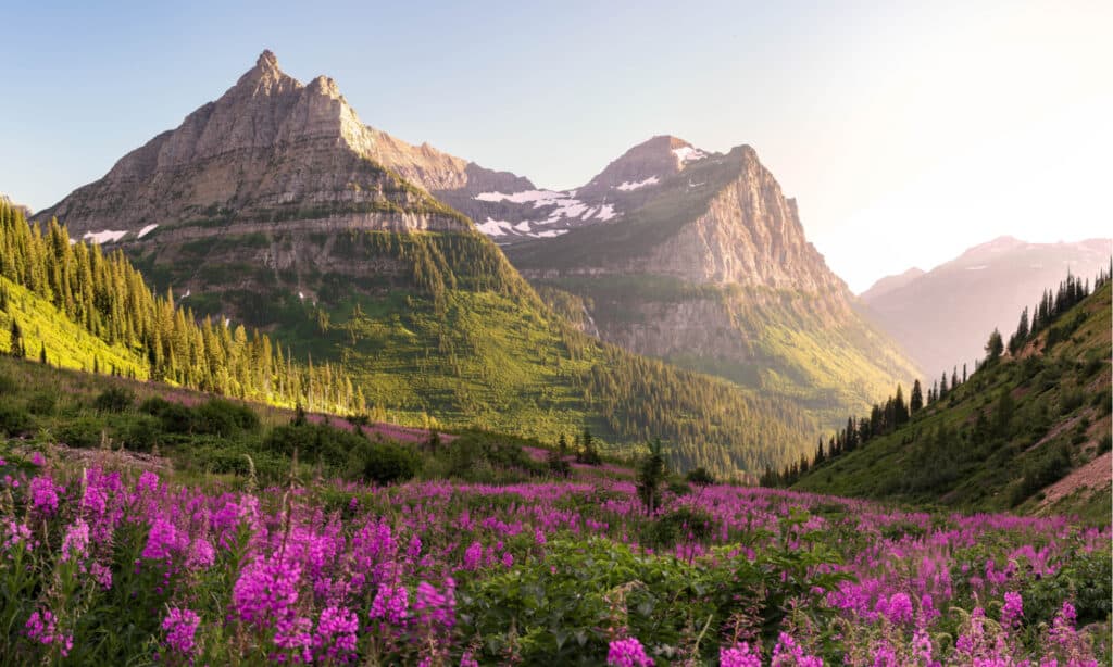 Best National parks to Visit in July - Glacier National Park 