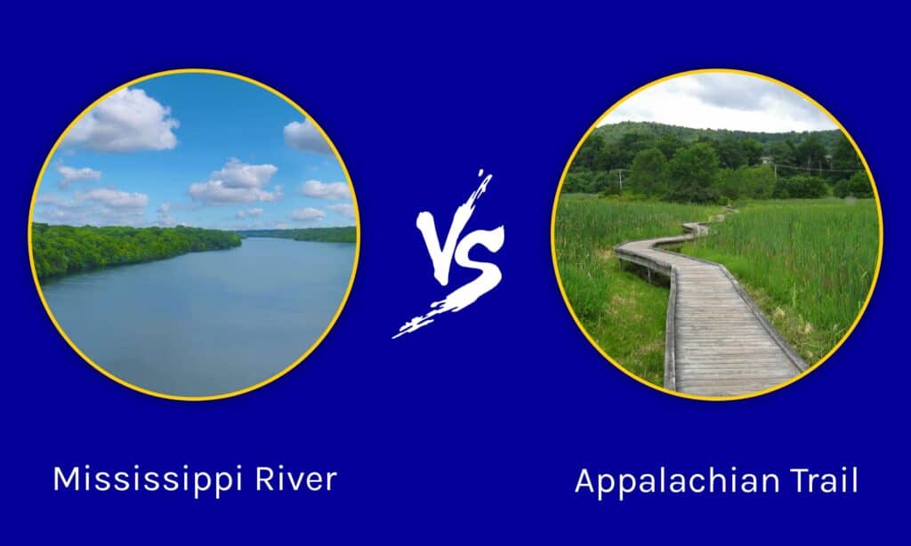 Râul Mississippi vs traseul Appalachian, care ar trebui să fie atracție emblematică americană - 27 mai 2022
