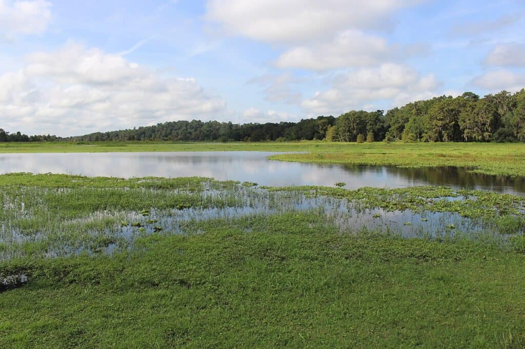 Lacul Aligator, comitatul Columbia, Florida