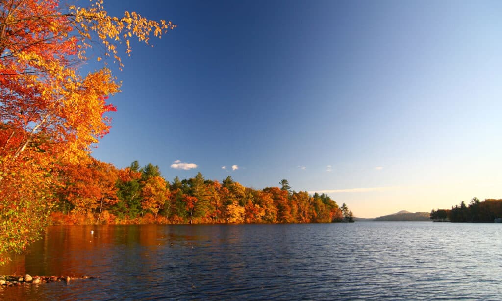Frunziș de toamnă lângă lacul Dunmore din Vermont