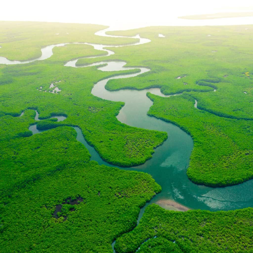 Cât de adânc este râul Amazon - 2 iunie 2022