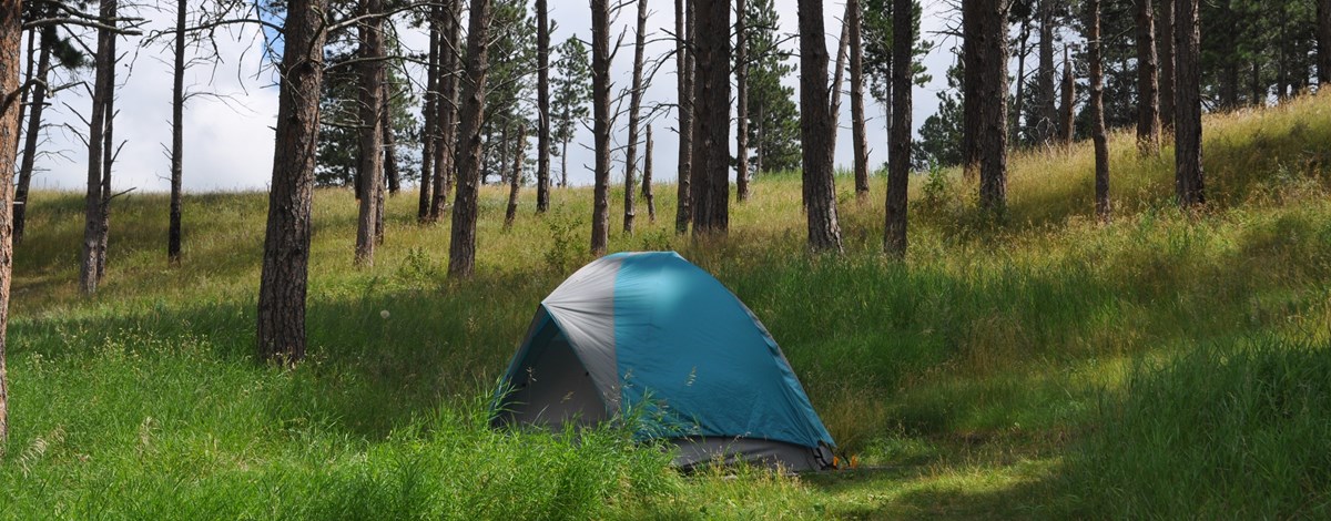 camping în parcul național de bivoli de lemn