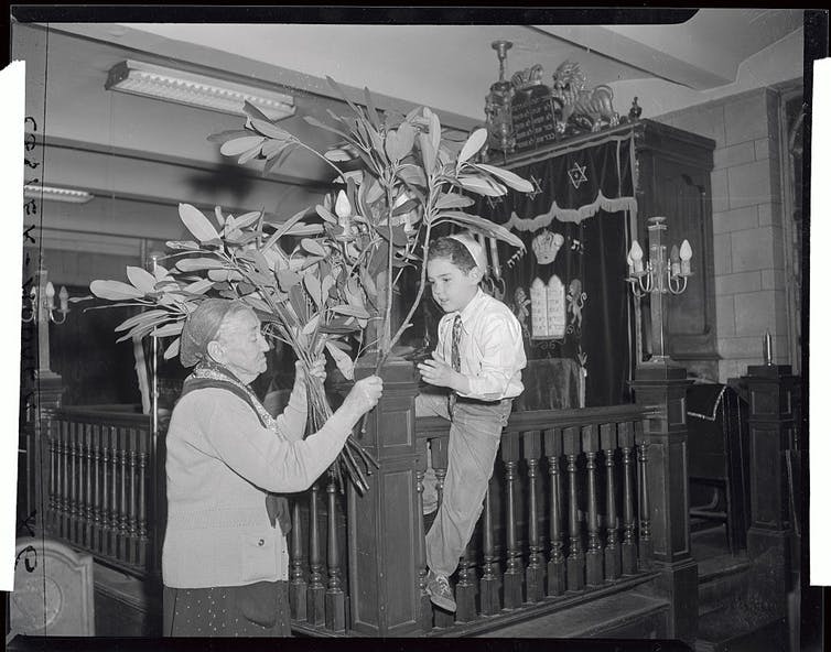În această fotografie alb-negru, o femeie în vârstă și un băiat leagă ramuri de copac de un stâlp ca decor.