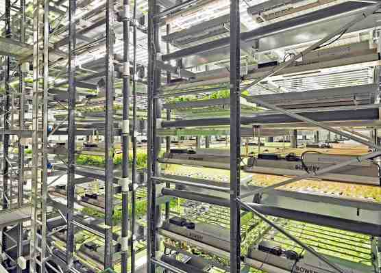 Bowery opens a new vertical farm in Pennsylvania