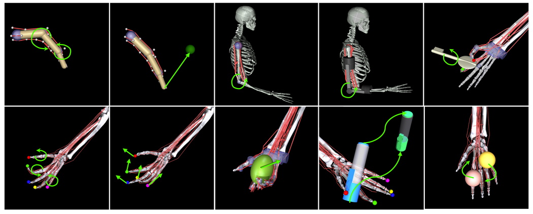 Grupuri de schelet și mușchi simulate în Myosuite.