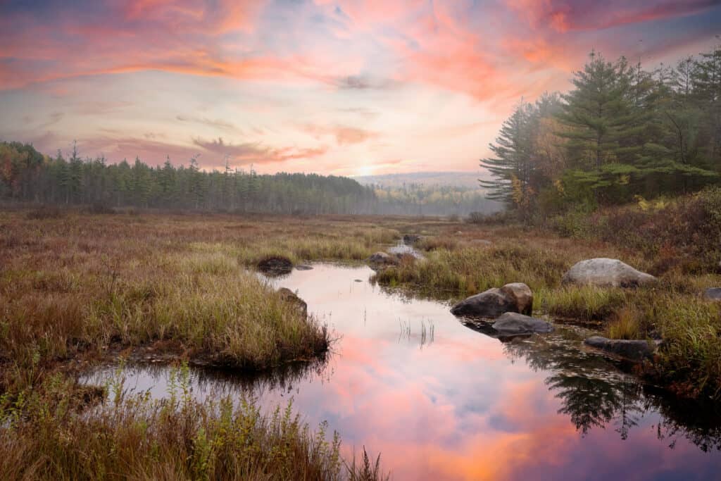 Cele mai bune locuri de vizionare a frunzelor din Maine - Baxter State Park