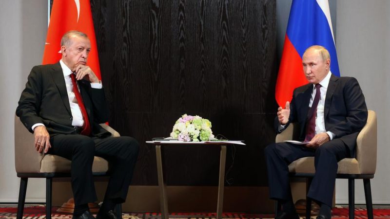 Vladimir Putin could meet Mr Erdoğan to discuss negotiations between Russia and the West