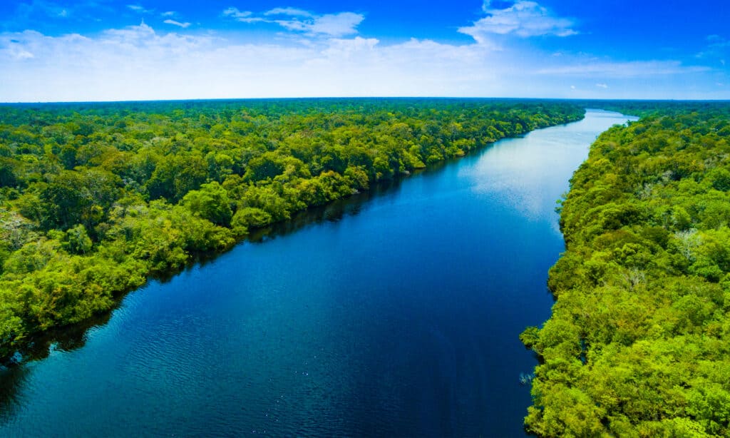 Descoperiți cel mai lat râu din lume, cu o lățime de 7 mile - 5 noiembrie 2022
