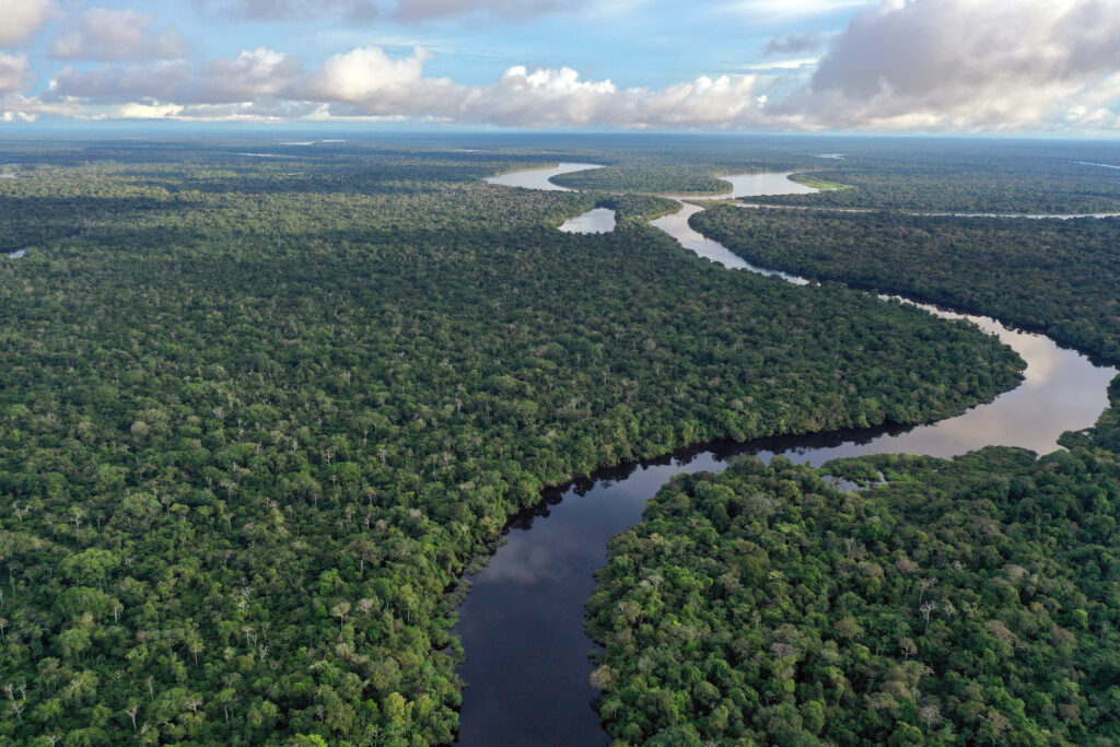 Cât timp i-ar lua unui om să înoate întregul Amazon? - Istoricul călătoriilor