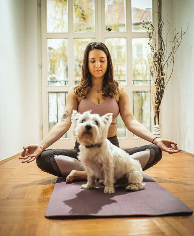 Viața domestică, câine, yoga, locuință, individualitate