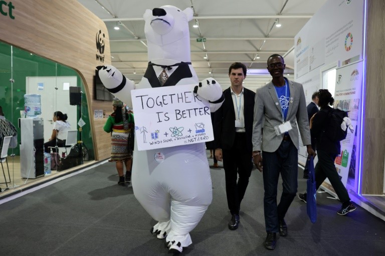Un protestatar îmbrăcat ca urs polar în timpul COP27 din Sharm el-Sheikh, Egipt, 10 noiembrie 2022