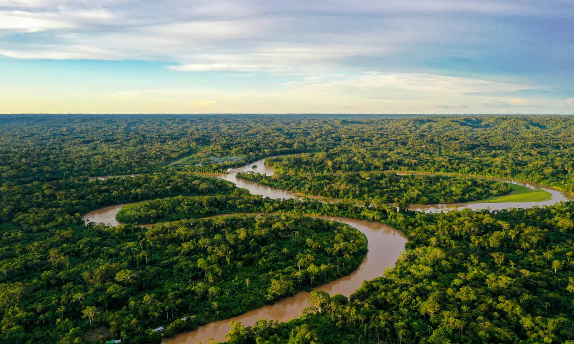 Cât de mare este pădurea tropicală amazoniană?  Comparați dimensiunea sa în mile, acri, kilometri și multe altele!  - Povestea călătoriilor
